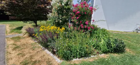 Gartenberatung Winterthur - Impressionen unserer Arbeit
