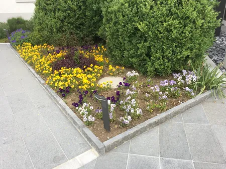 Gartenberatung Winterthur - Impressionen unserer Arbeit